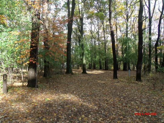 WATKINS GLEN STATE PARK site 073