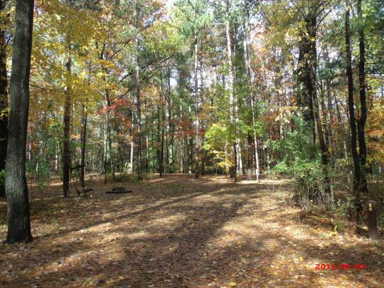 WATKINS GLEN STATE PARK site 050