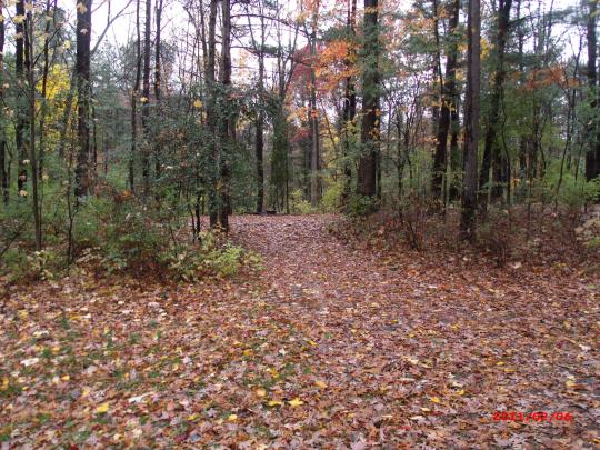 WATKINS GLEN STATE PARK site 149