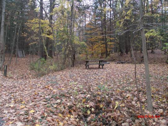 WATKINS GLEN STATE PARK site 198