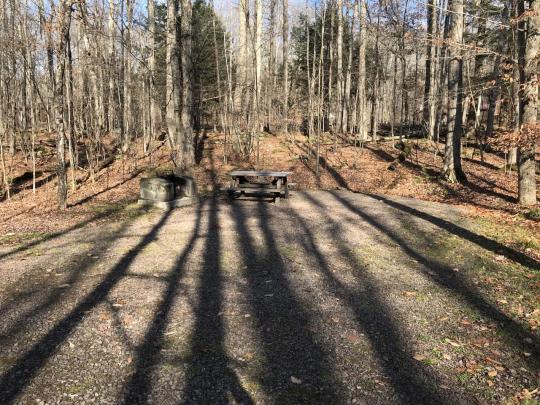 LITTLE POND CAMPGROUND site 020