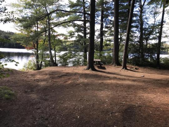ROLLINS POND CAMPGROUND site 017