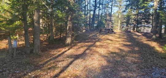 ROLLINS POND CAMPGROUND site 029