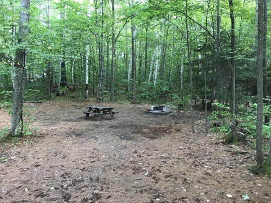ROLLINS POND CAMPGROUND site 031