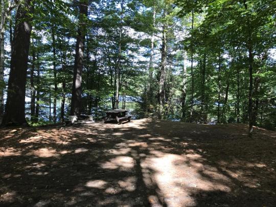 ROLLINS POND CAMPGROUND site 043