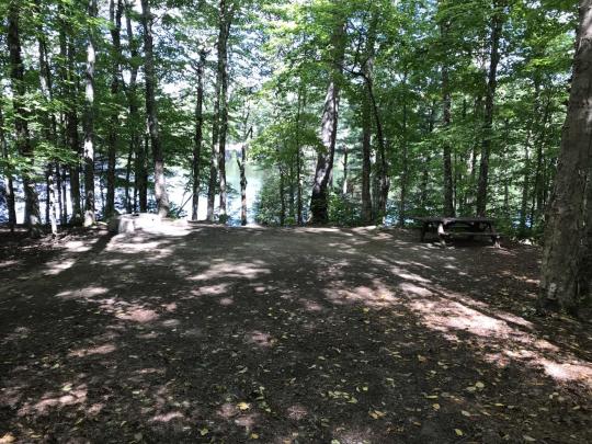 ROLLINS POND CAMPGROUND site 048