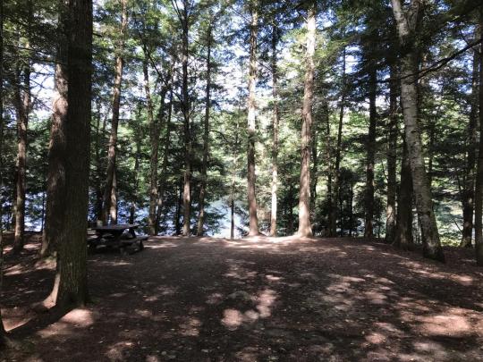 ROLLINS POND CAMPGROUND site 060