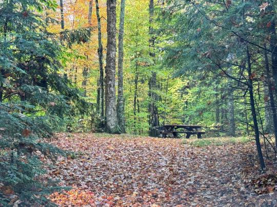 ROLLINS POND CAMPGROUND site 069