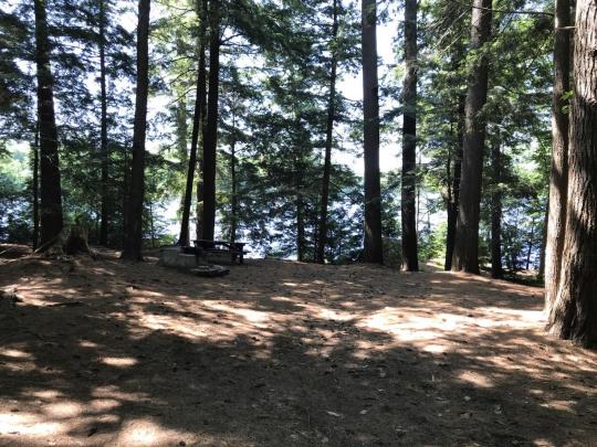 ROLLINS POND CAMPGROUND site 106