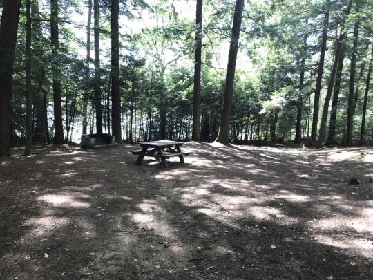 ROLLINS POND CAMPGROUND site 117