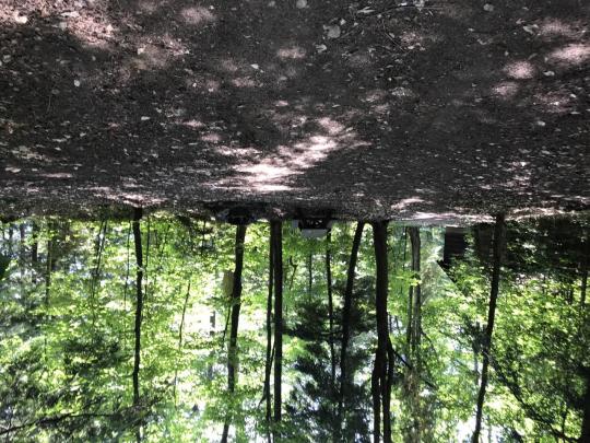 ROLLINS POND CAMPGROUND site 142
