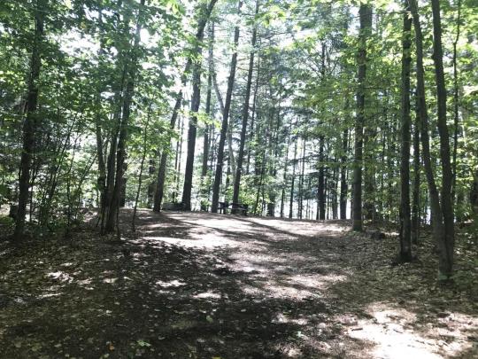 ROLLINS POND CAMPGROUND site 195