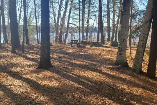 ROLLINS POND CAMPGROUND site 200