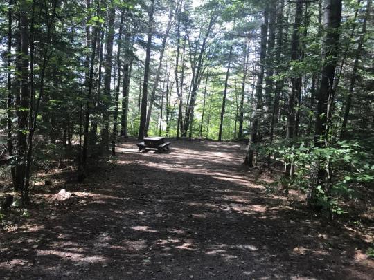 ROLLINS POND CAMPGROUND site 206