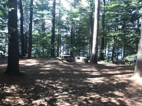 ROLLINS POND CAMPGROUND site 222