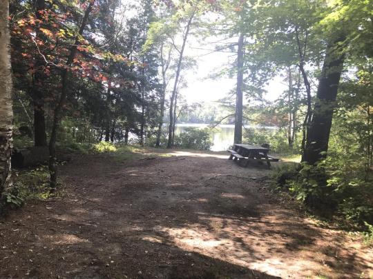 ROLLINS POND CAMPGROUND site 238