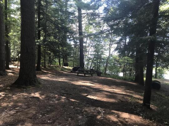 ROLLINS POND CAMPGROUND site 237