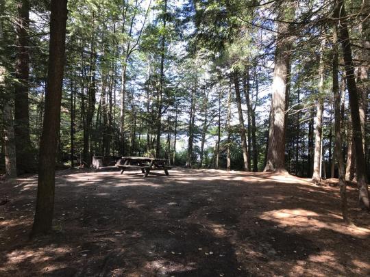 ROLLINS POND CAMPGROUND site A011