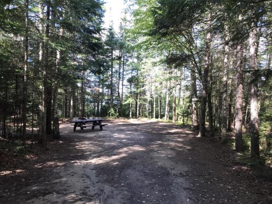 ROLLINS POND CAMPGROUND site A013