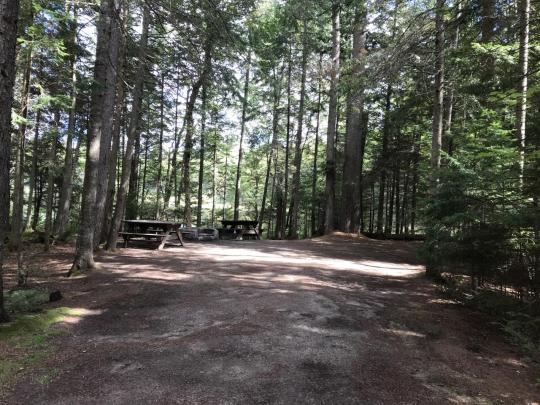 ROLLINS POND CAMPGROUND site A020