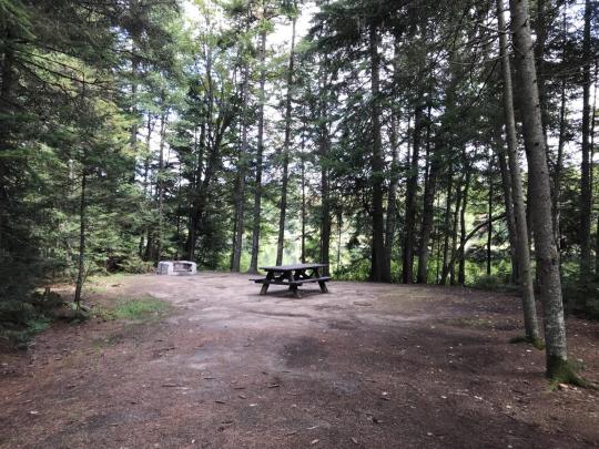 ROLLINS POND CAMPGROUND site A022