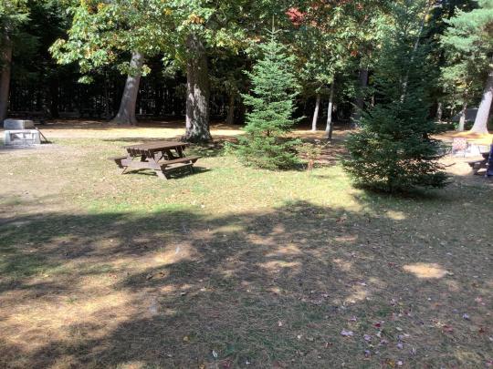 WILMINGTON NOTCH site 028