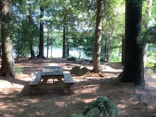 SARANAC LAKE ISLANDS site 049