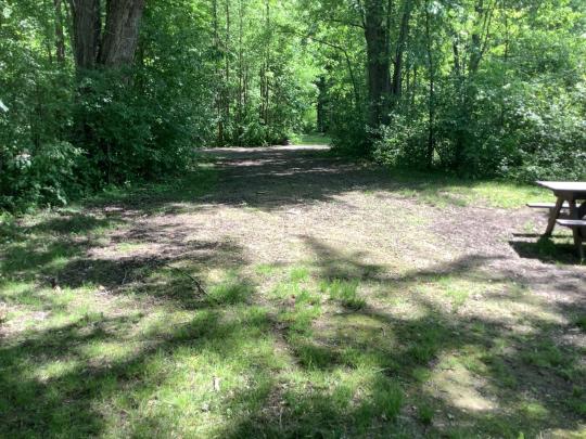 AUSABLE POINT CAMPGROUND site 098