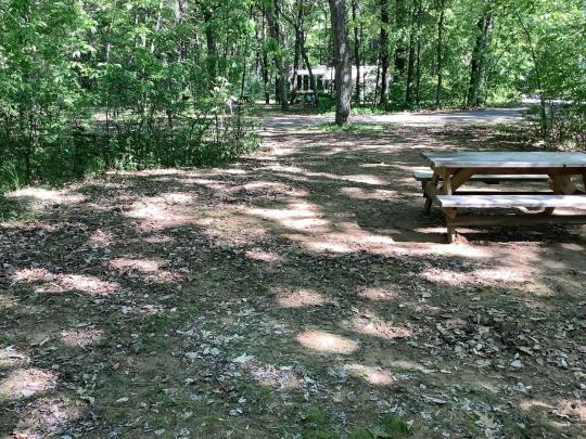 AUSABLE POINT CAMPGROUND site 022