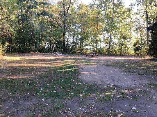 AUSABLE POINT CAMPGROUND site 027