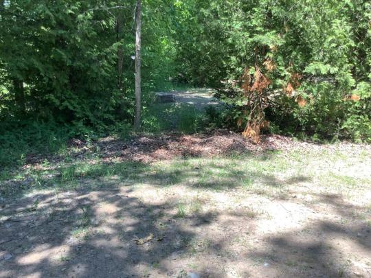 AUSABLE POINT CAMPGROUND site 054