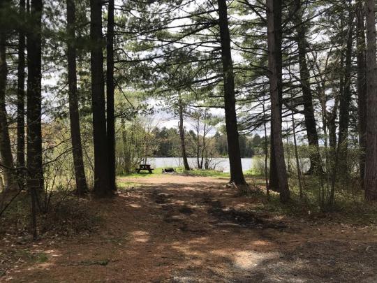 FISH CREEK POND CAMPGROUND site 091