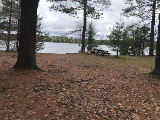 FISH CREEK POND CAMPGROUND site 223