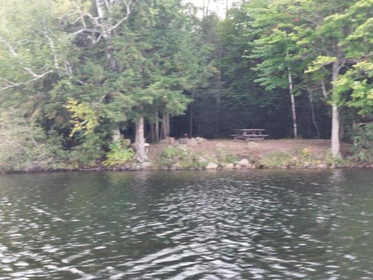 LINCOLN POND CAMPGROUND site 31R