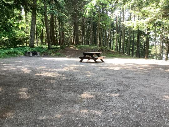 BROWN TRACT POND CAMPGROUND site 007
