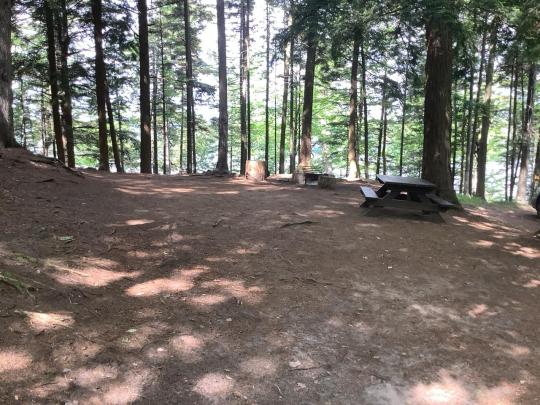 BROWN TRACT POND CAMPGROUND site 022