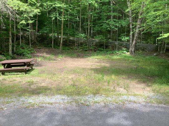 BROWN TRACT POND CAMPGROUND site 038