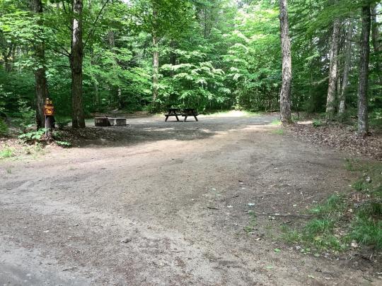 BROWN TRACT POND CAMPGROUND site 088