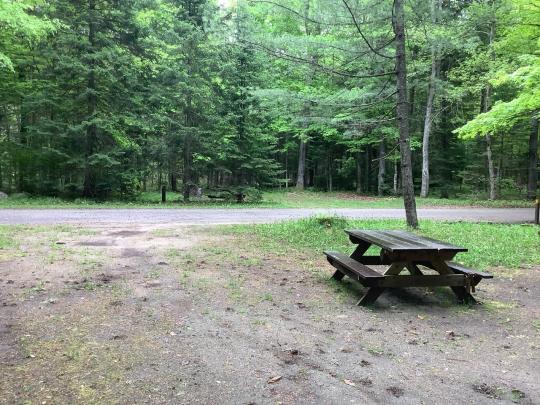 EIGHTH LAKE CAMPGROUND site 008