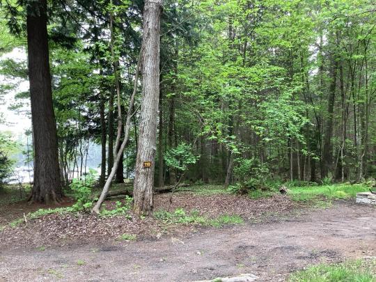 EIGHTH LAKE CAMPGROUND site 110