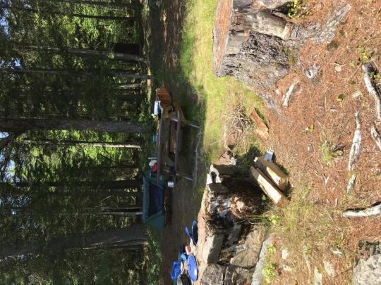 FORKED LAKE CAMPGROUND site 037