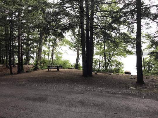 MOFFITT BEACH CAMPGROUND site 247
