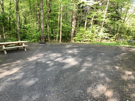 NICKS LAKE CAMPGROUND site 008