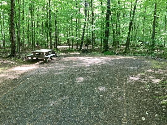 NICKS LAKE CAMPGROUND site 037