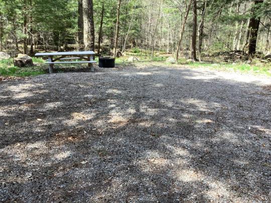 CRANBERRY LAKE CAMPGROUND site 040