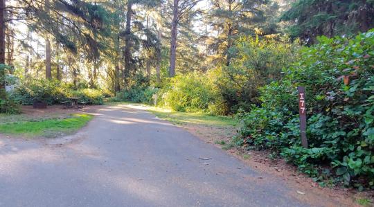 Fort Stevens State Park site 077