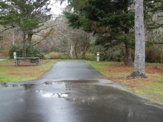 Fort Stevens State Park site N14