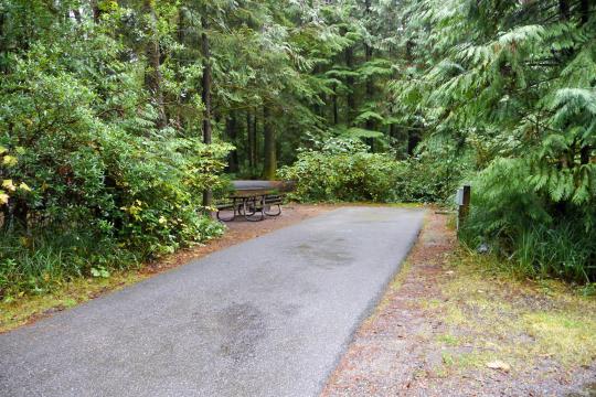 Jessie M. Honeyman Memorial State Park site 011