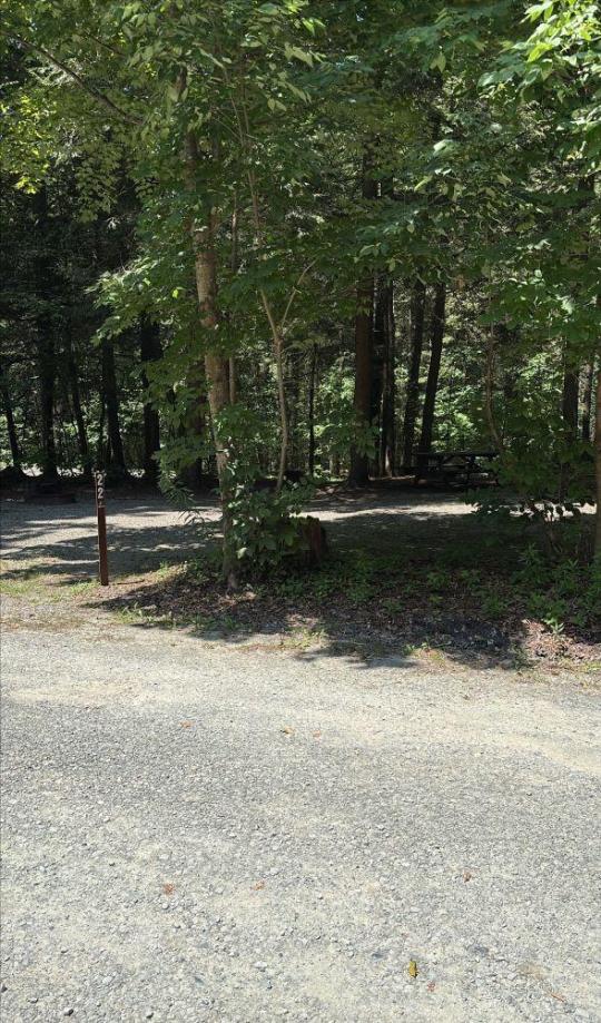 WORLDS END STATE PARK site 022