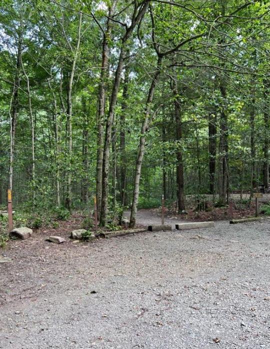 WORLDS END STATE PARK site 059